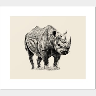 Rhinoceros Posters and Art